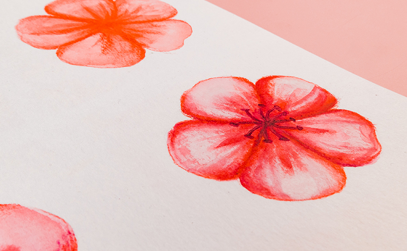 Our tips for painting watercolour flowers