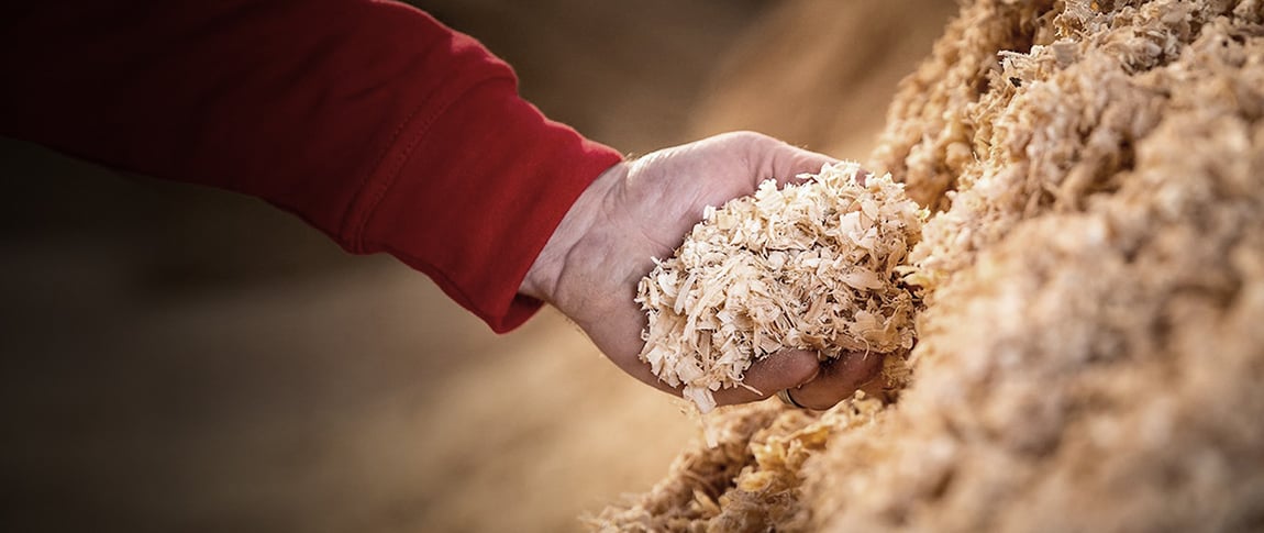 Développement durable : pour donner du sens au mot « demain »