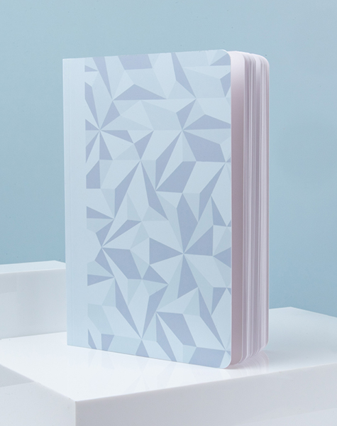 Quaderno A5 Alpine Frost