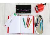 Boîte de 10 Stylos Bille 849 COLORMAT-X Verts