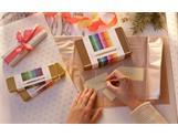 COLOUR TREASURE ECRIDOR SUNLIGHT Gift Set Ballpoint Pen & Leather Case Special Edition