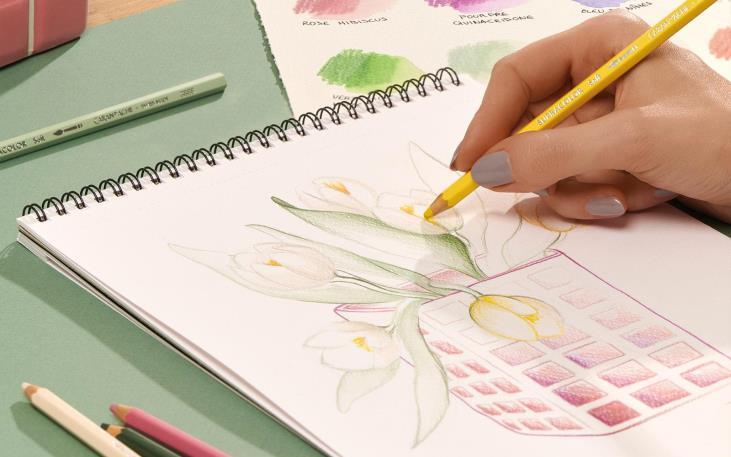 限定】スプラカラーソフト スペシャルエディション18色 水溶性色鉛筆