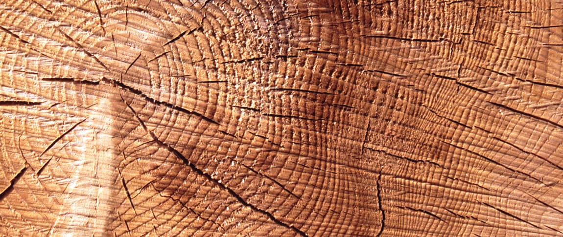 Une Maison responsable : une Manufacture durablement engagée